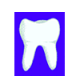MG: 歯 [は]; 乳歯 [にゅうし]; 歯牙 [しが]